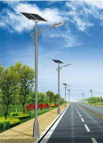 1742827545426759.jpg 萨迦太阳能路灯.jpg