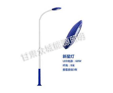 萨迦爆款市电路灯